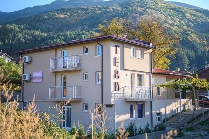 Guest House Tedi Sapareva Banya Dış mekan fotoğraf